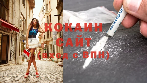 дурь Каменка