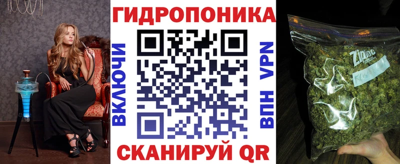 Конопля ГИДРОПОН  Купить закладки  Находка 